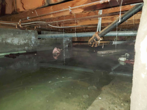 Best 24-hour water damage restoration  in , NE