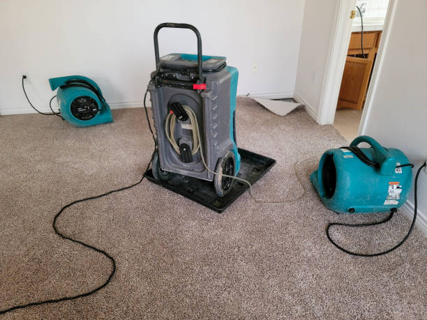 Best Local water damage restoration  in , NE