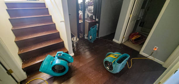 Best Water damage restoration near me  in , NE