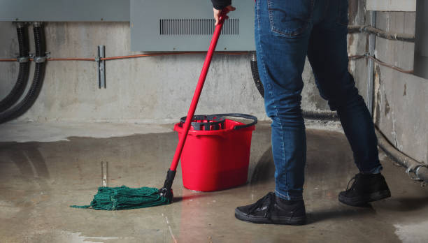 Best Flood damage cleanup  in , NE