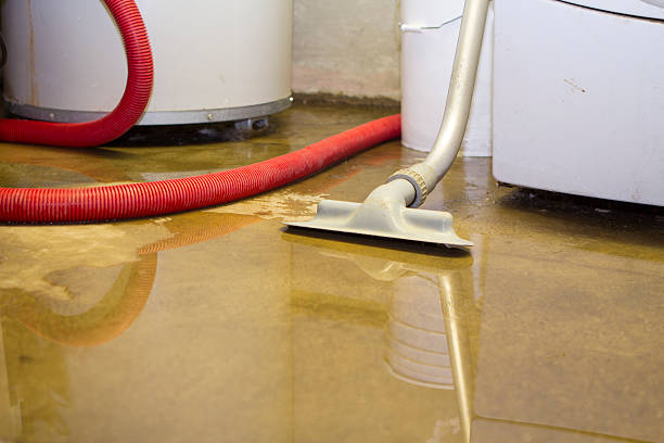 Best Flooded house restoration  in , NE