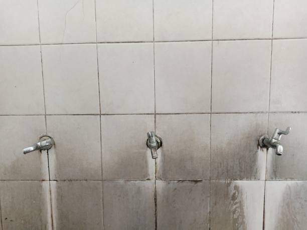 Best Mold removal after water damage  in , NE