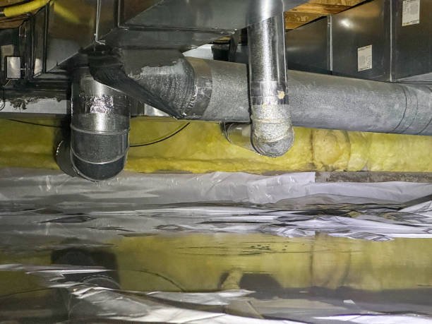 Best Water damage restoration company  in , NE
