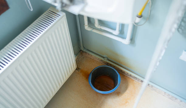 Best 24/7 water damage repair  in , NE