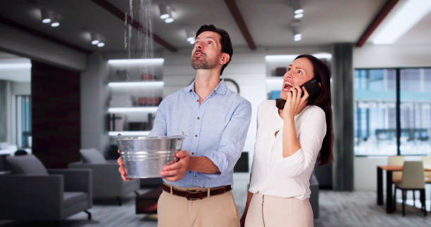 Best Water damage cleanup near me  in , NE